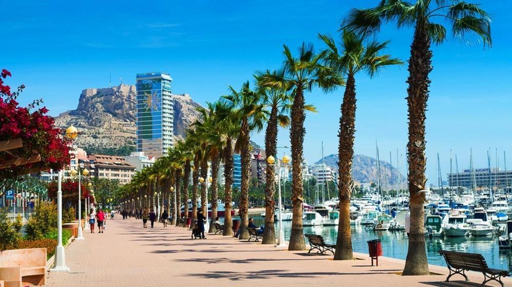 Luxury Apartments Near The Beach And Downtown Centrum 8 Alicante Exteriör bild